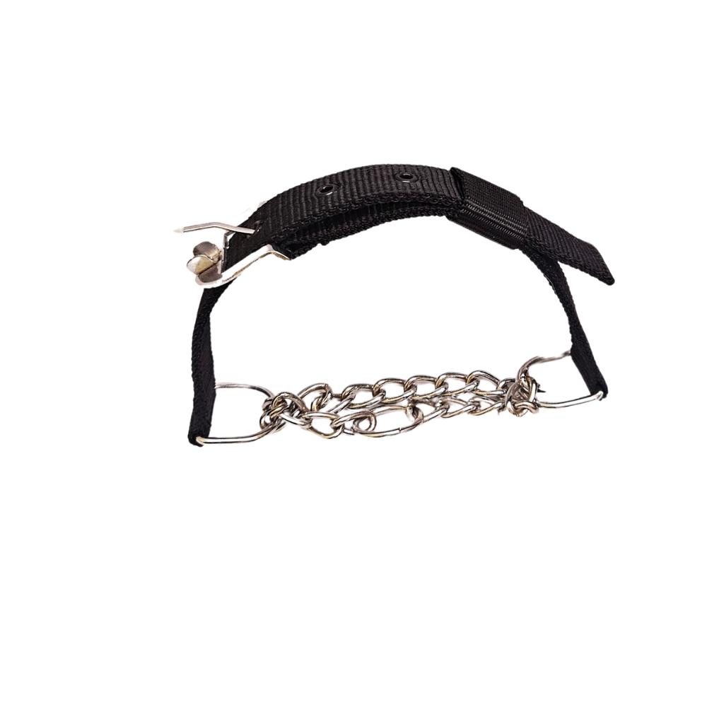 No-Choke Chain Collar for Dogs