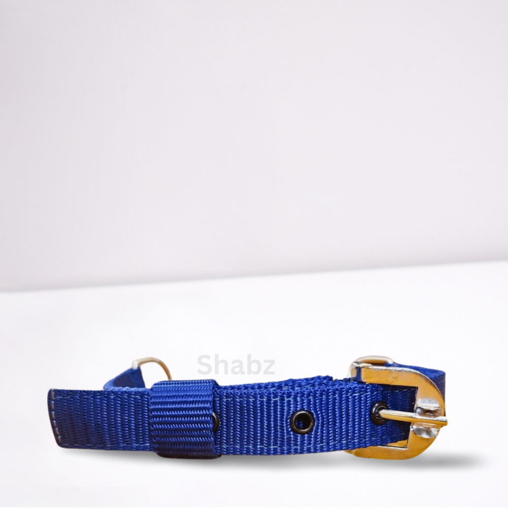 No-Choke Chain Collar for Dogs