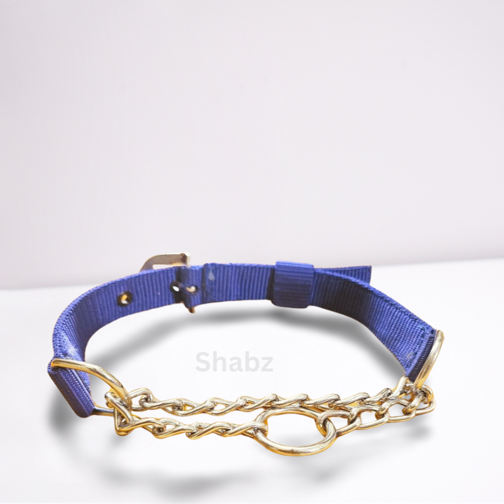 No-Choke Chain Collar for Dogs