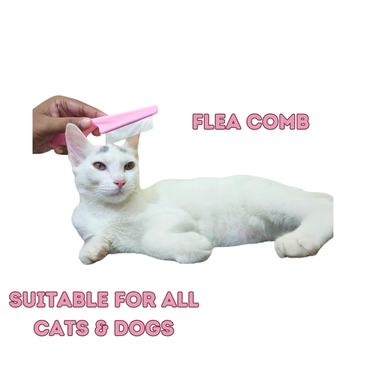 Flea Comb for Dogs and Cats – Keep Your Pet Pest-Free!