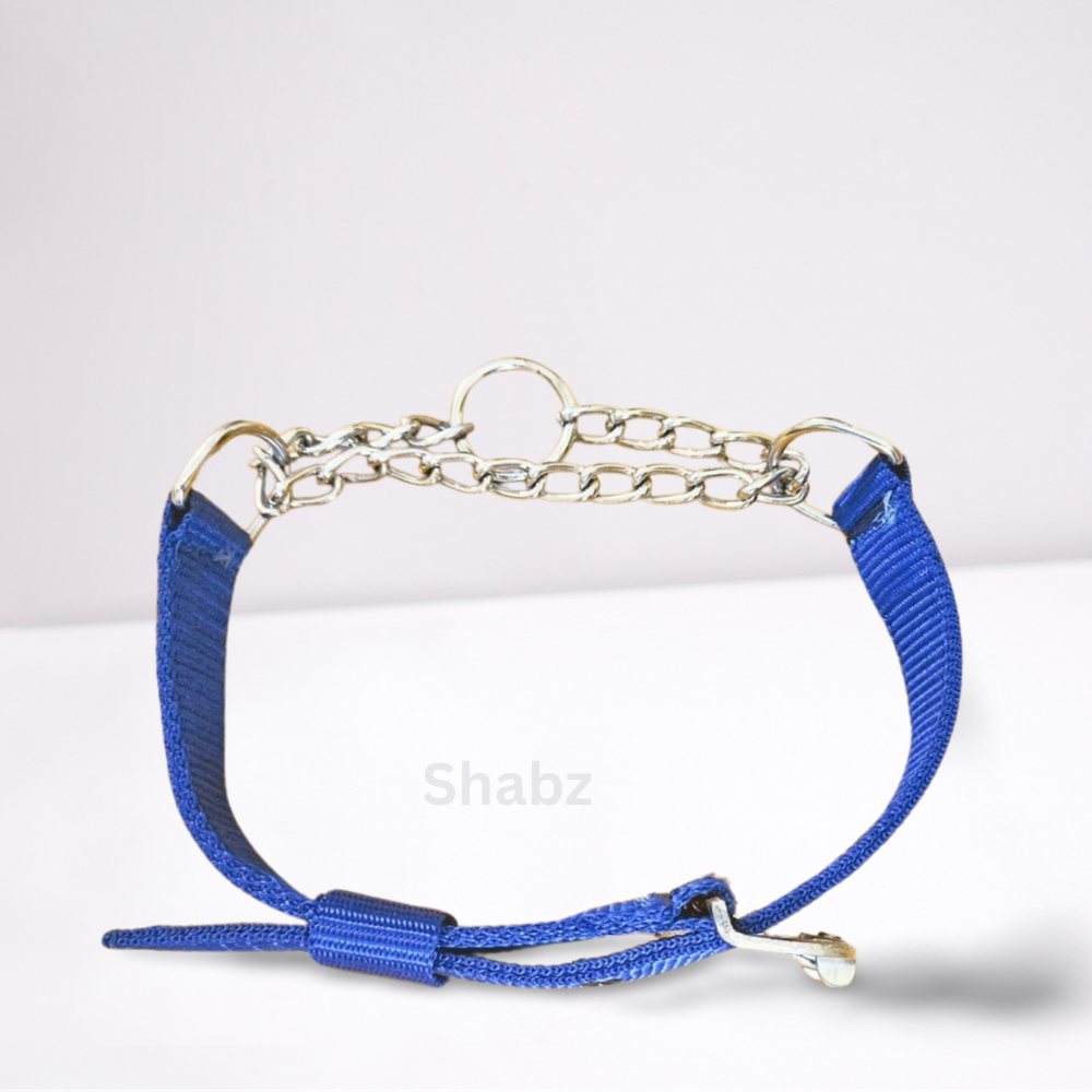 No-Choke Chain Collar for Dogs